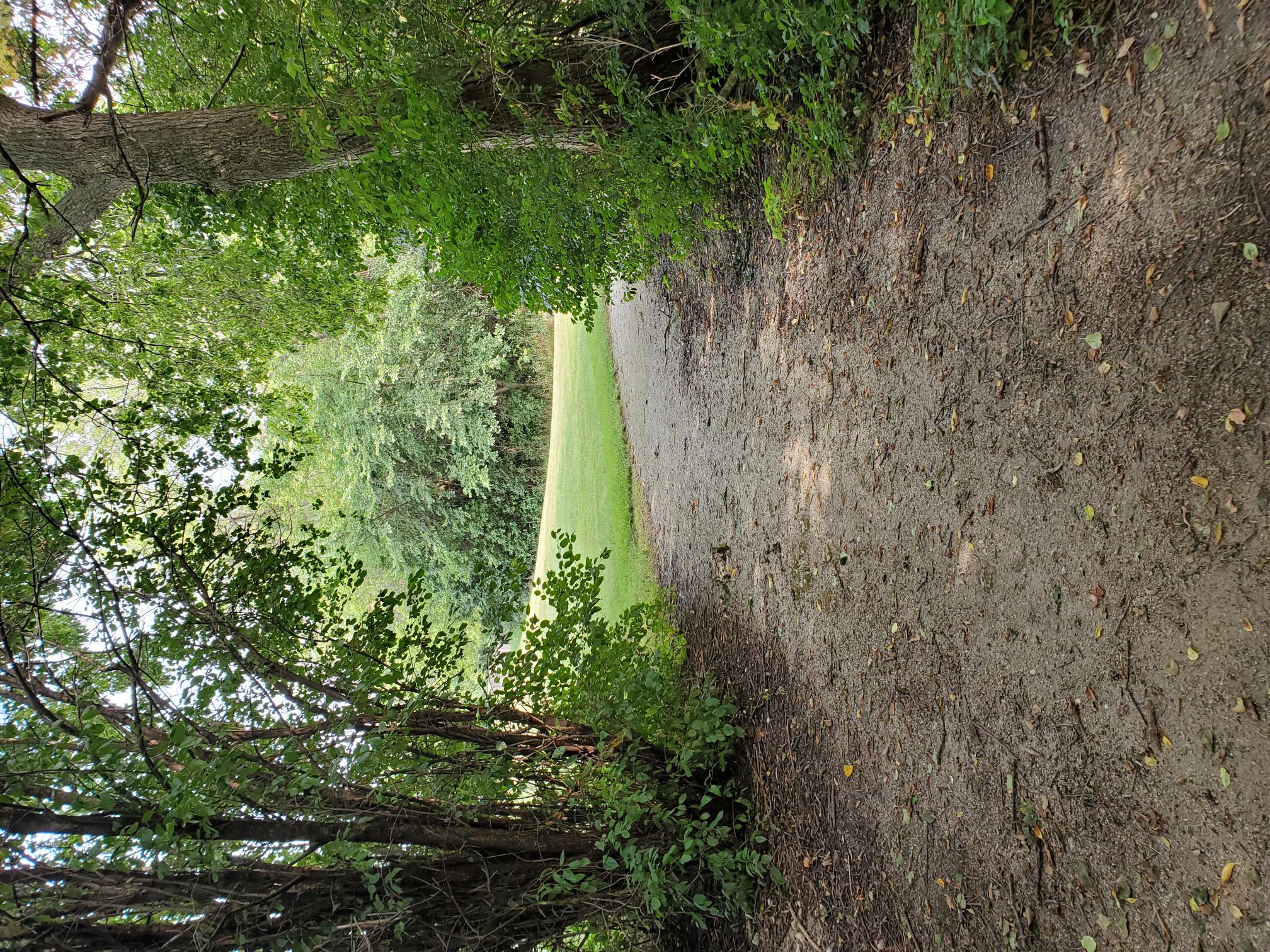 Step Challenge photo