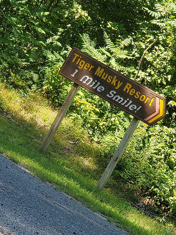 Step Challenge photo