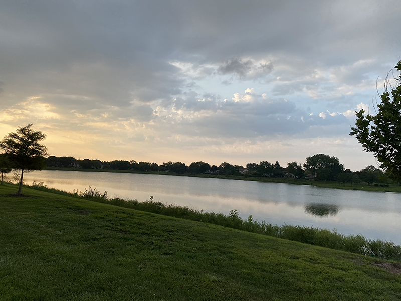 Step Challenge photo