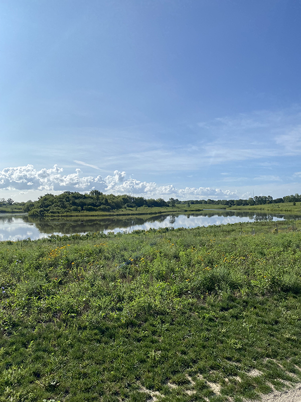 Step Challenge photo