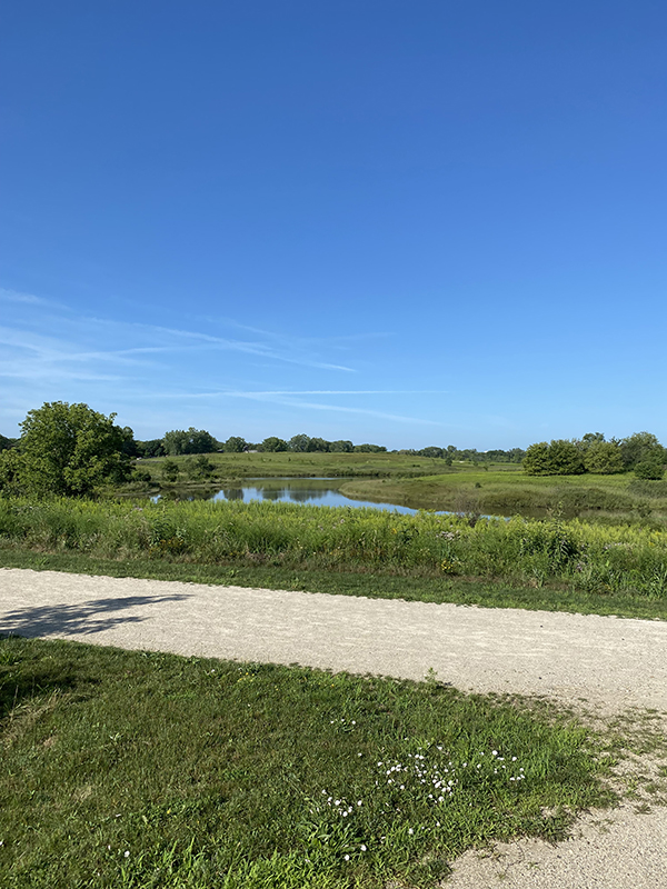 Step Challenge photo