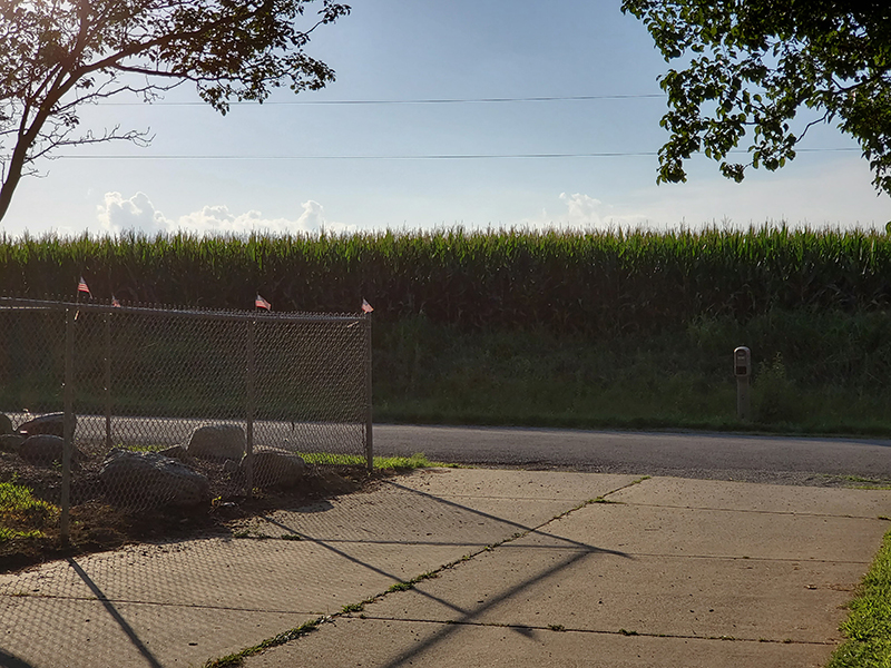 Step Challenge photo